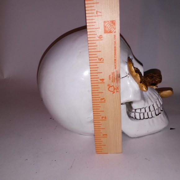 Halloween Decoration Skull Gold Bugs White Creepy Skeleton Head Home Decor Brand - Picture 10 of 13